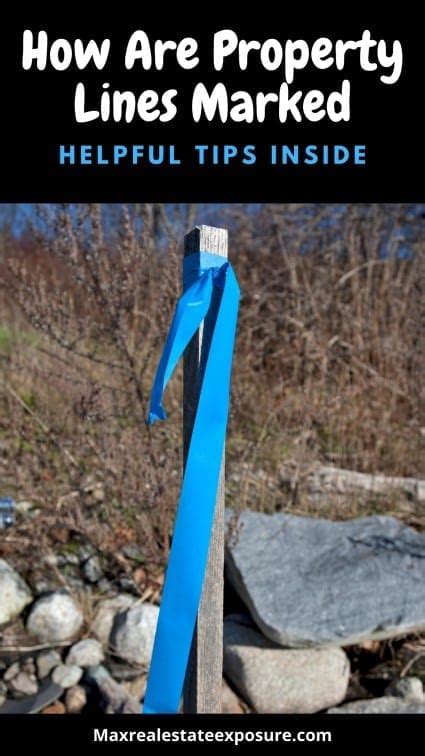 Image result for Check Property Line