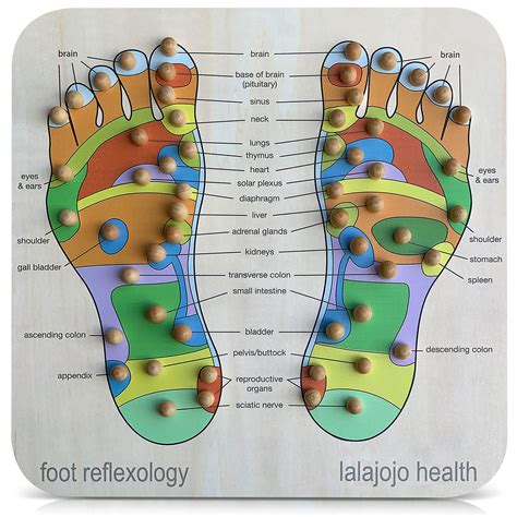 Erotic foot massage map reflexology - tolfnat