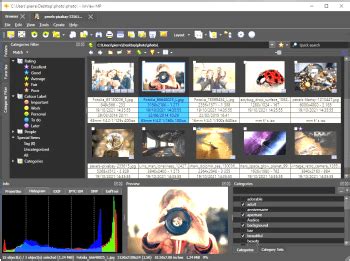 Image result for XnViewMP Logo