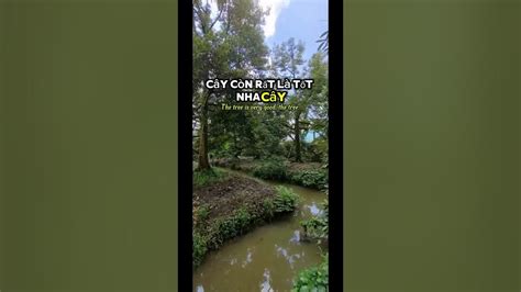 AMBIL SEKARANG