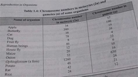 chromosomes no. in meiocytes ( diploid , 2n ) and gametes ( haploid , n ...