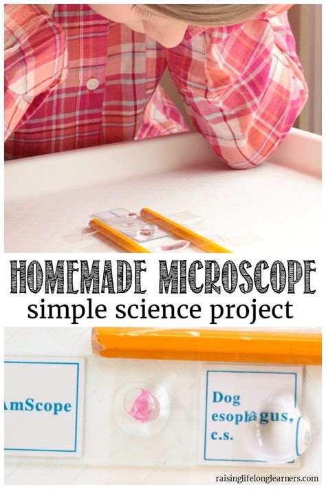 Image result for Easy Microscope Projects