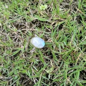 Buy Rainbow Moonstone Ring June Birthstone 925 Silver Ring Blue Flashy ...