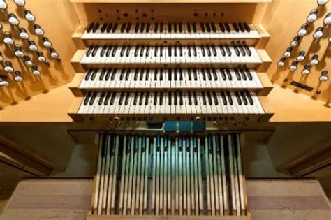 Image result for Types of Organs Instrument