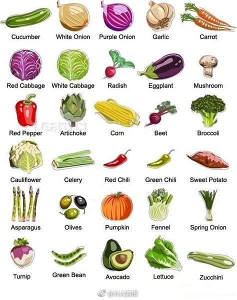 常见蔬菜图片及名称_常见蔬菜名称大全有图_微信公众号文章