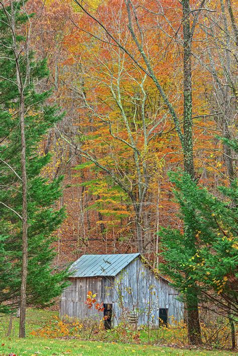 Life Is a Long Lesson in Humility 的图像结果