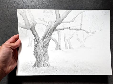 Image result for Graphite Pencil Drawing Tree