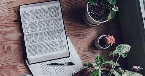 Relative Truth Examples 的图像结果