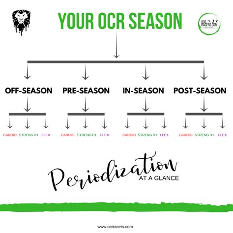 Image result for Periodization Explained