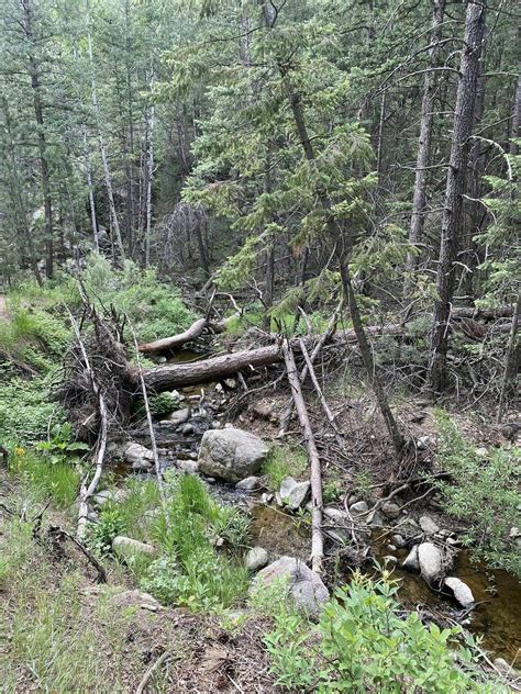 Anne U. White Trail - Colorado | AllTrails