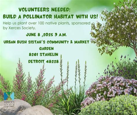 Planting a Pollinator Habitat , 8261 Stahelin, Detroit, MI, Dearborn ...