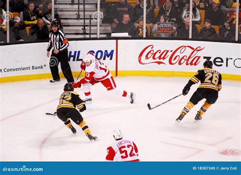 Image result for Datsyuk