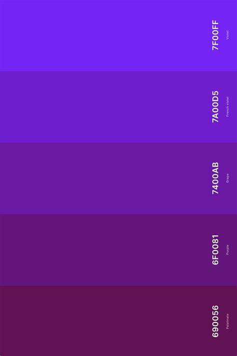 25 best violet color palettes with names and hex codes – Artofit
