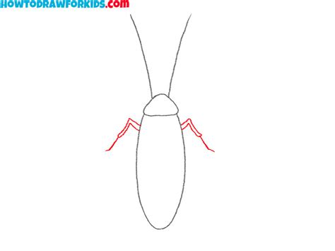 Image result for How to Draw a Cockroach Step by Step