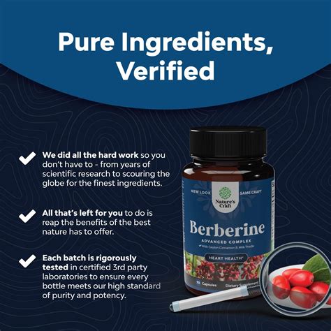 Buy Balancing Berberine Plus 1200mg Complex - Antioxidant Berberine ...