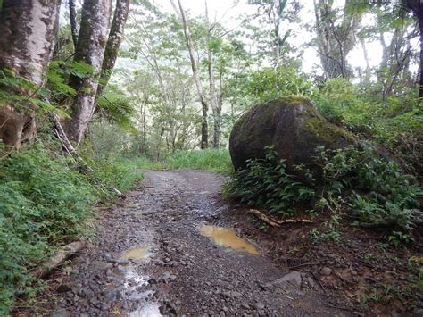 Image result for What Is a Loop Road