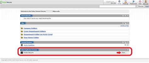 Pulse Secure Client 的图像结果