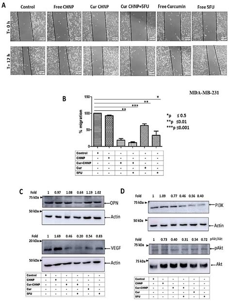 Chitosan Nanoparticle-Mediated Delivery of Curcumin Suppresses Tumor ...