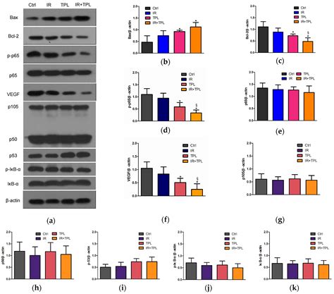Triptolide Combined with Radiotherapy for the Treatment of ...