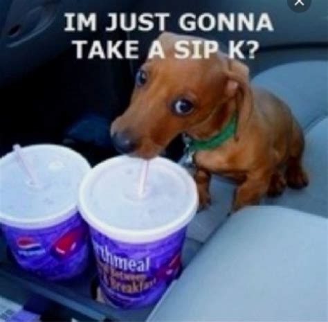 Image result for Taste Test Meme