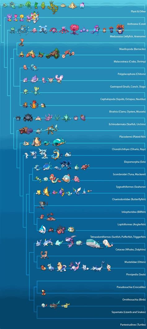 Types 的图像结果