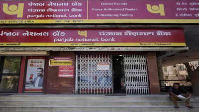 PNB reports Rs 270.57 crore loan fraud by Gupta Power Infrastructure ...