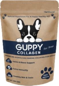 NutriEkspert Guppy Collagen For Dogs- Protein For Joint & Bones, Coat ...