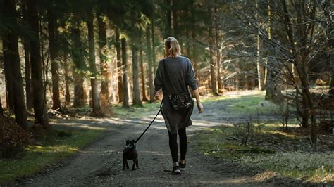 10 best ways to increase dopamine levels naturally