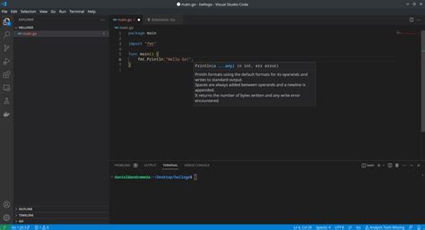 Image result for vs Code Visual Go