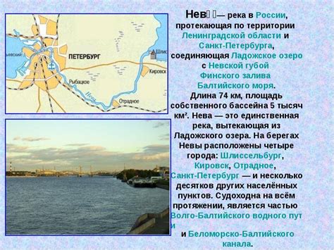 Исток реки Невы: где находится, когда и как открыли, какой остров здесь ...