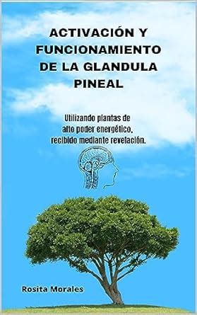 ACTIVACIÓN Y FUNCIONAMIENTO DE LA GLANDULA PINEAL: Utilizando plantas ...