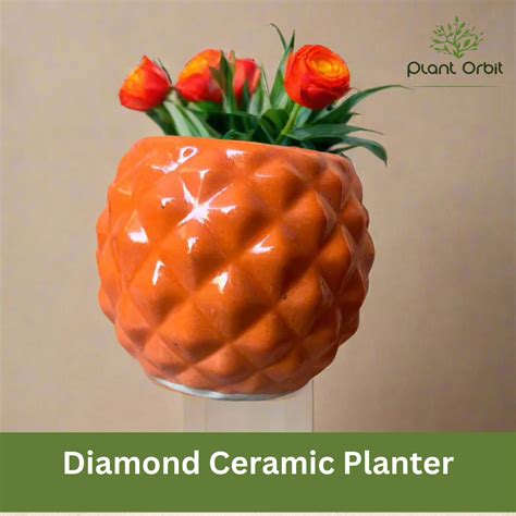 cerami – Plant Orbit