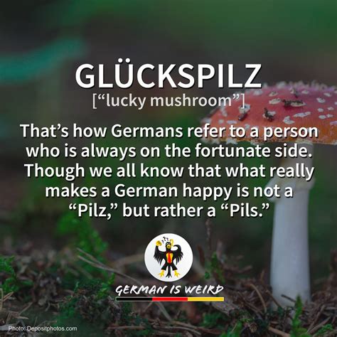 German is Weird - Glückspilz - Funny German words