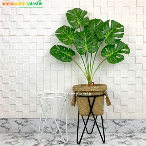 Jual Pohon Daun Monstera Latex X7 Pot Dasar Cover Keranjang Purun ...