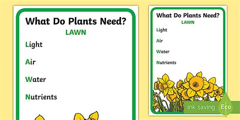 Needs of Plants Lawn Mnemonic Display Poster