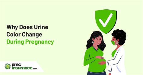 Why does urine colour change during pregnancy?