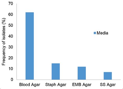 A novel multidrug-resistant Salmonella enterica strain (A10) isolated ...