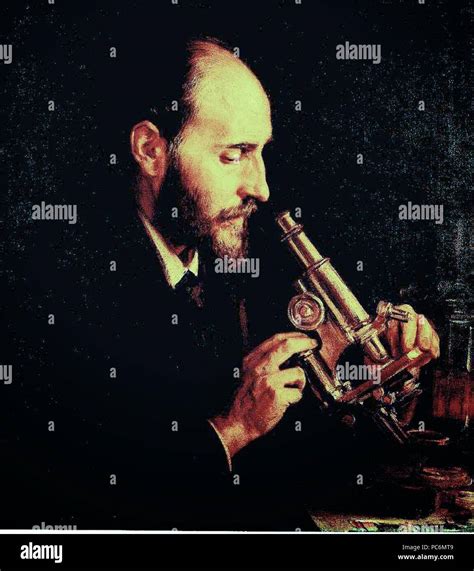 Garreta hi-res stock photography and images - Alamy