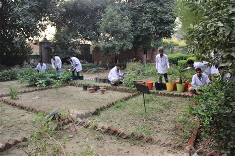 Herbal Garden at Lloyd School of Pharmacy