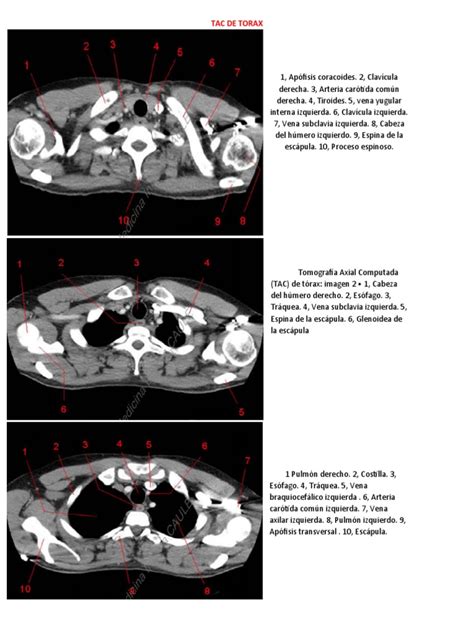 Image result for DataGridView View Design VB.NET