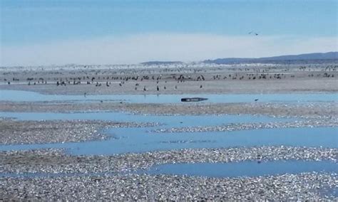 Abra Pampa Tourism (2023): Best of Abra Pampa, Argentina - Tripadvisor