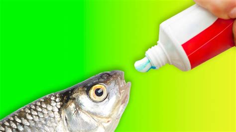 Amazing Toothpaste Hacks 的图像结果