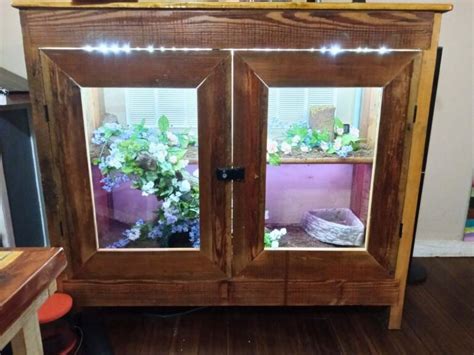 Image result for Pide Ball Python Enclosure
