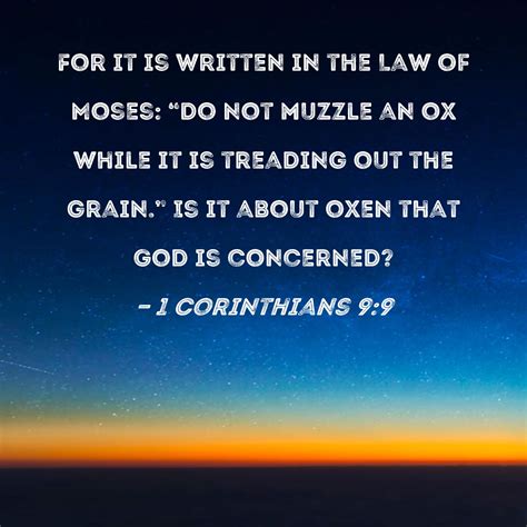 1 Corinthians 9:9 For it is written in the Law of Moses: "Do not muzzle ...