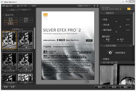 Image result for Silver EFX Pro 2 Tutorials