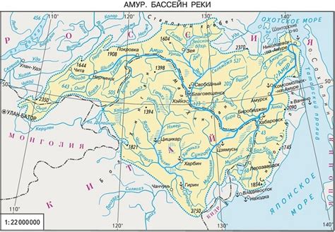 Режим реки амур кратко