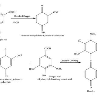 Image result for Reaction Mechanism