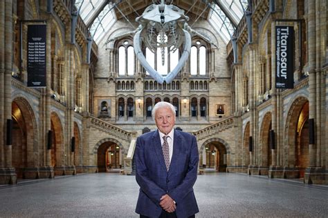 The Big Picture: 'Sir David Attenborough changed my life'