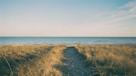 Cape Cod Beach 的图像结果