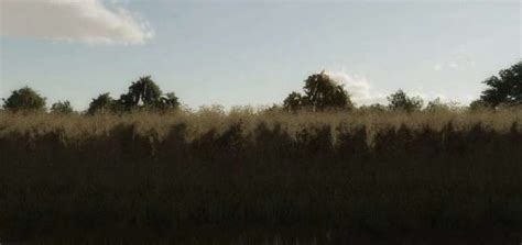 Image result for LS22 Texturen Mod